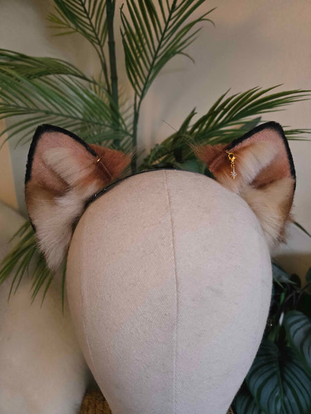 Baby Red Fox Ears
