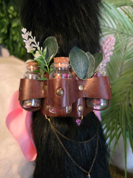 Witch's Familiar Apothecary Cat